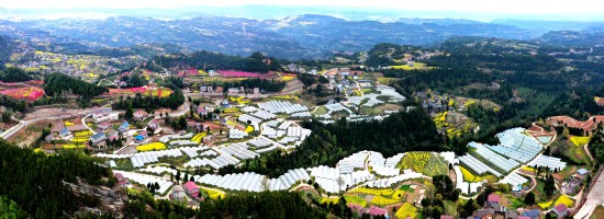 蒼溪黃貓埡農文旅融合示范農業園區。蒼溪縣委宣傳部供圖