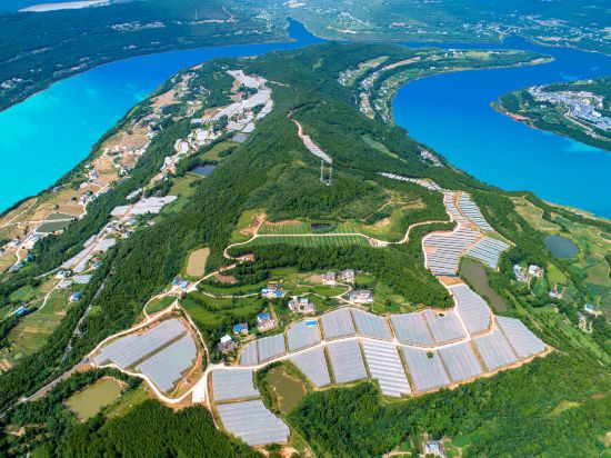 蒼溪亭子湖現代農業園區。蒼溪縣委宣傳部供圖