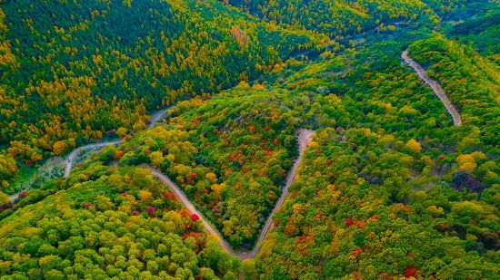 國家一號風景大道初秋景色。孫占軍 攝