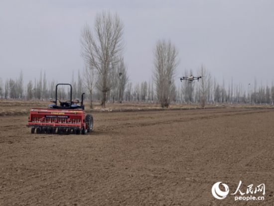 寧夏銀川市興慶區通貴鄉，無人機駕駛拖拉機與無人機在田間忙碌。人民網記者 梁宏鑫攝