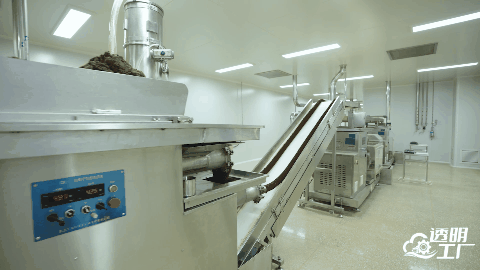 山茱萸加工成丸。